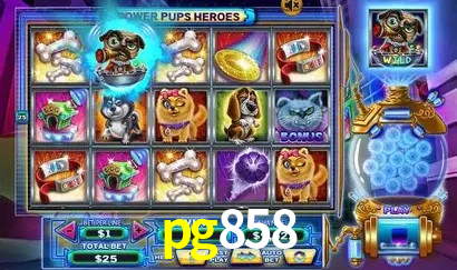 Promoção Relâmpago pg858